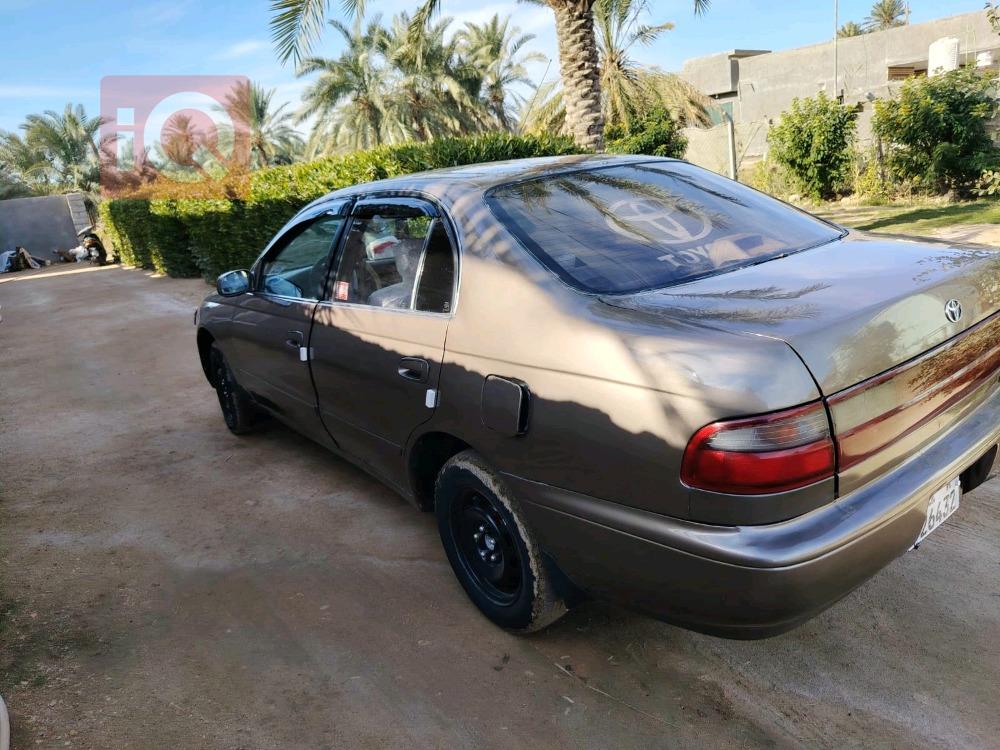 تويوتا كورولا